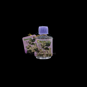 Copal